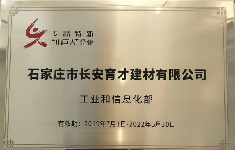 2019-2022年专精特新小巨人企业